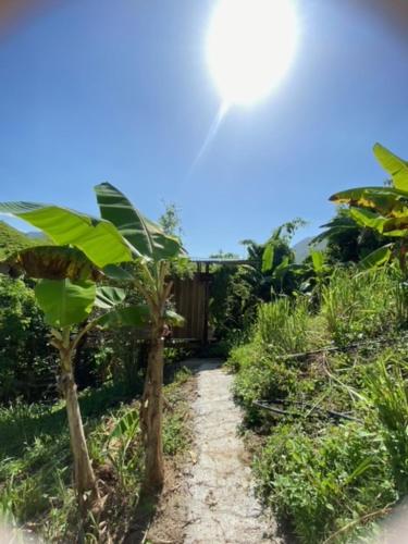 The Valley Tayrona hostel- A social jungle hostel – Santa Marta, IN