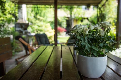 Kilátás, B&B Arco Di Pietra in Quinto di Treviso