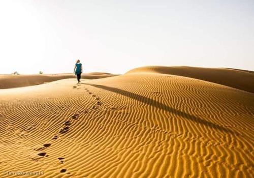 Jaisalmer Golden Camp photo