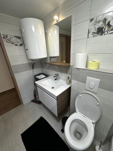 Apartment Radić 1 (Apartment Radic 1) in Doljani Zumberacki