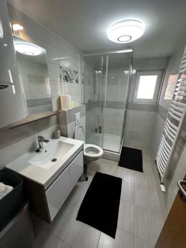 Apartment Radić 1 (Apartment Radic 1) in Doljani Zumberacki