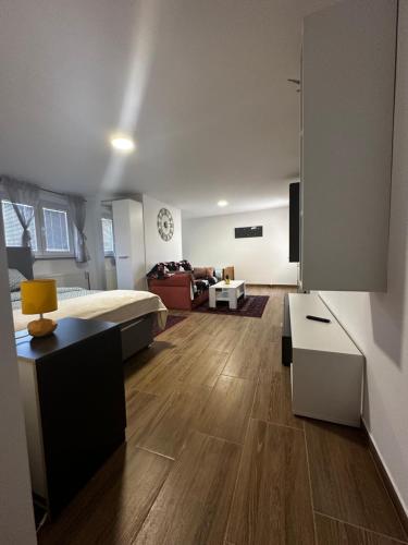 Apartment Radić 1 (Apartment Radic 1) in Doljani Zumberacki
