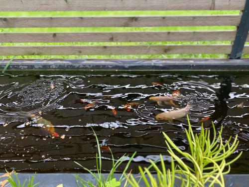 Tropisches Loft mit privatem Garten