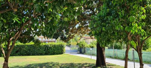  La Magnolia, Unterkunft in Ameglia