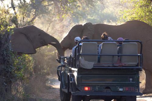 . Karongwe - Chisomo Safari Camp