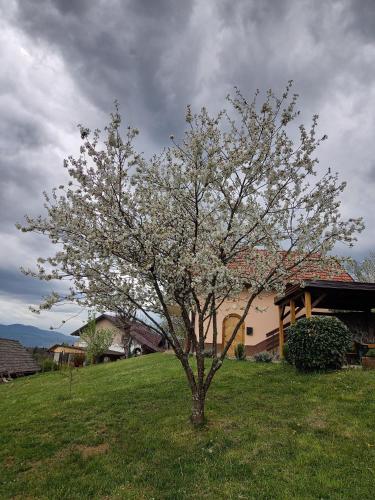 Udvendig, Peaceful, cosy cottage near Kolpa river in Gradac