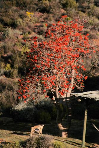 Bobbejaans Kloof Mountain Retreat