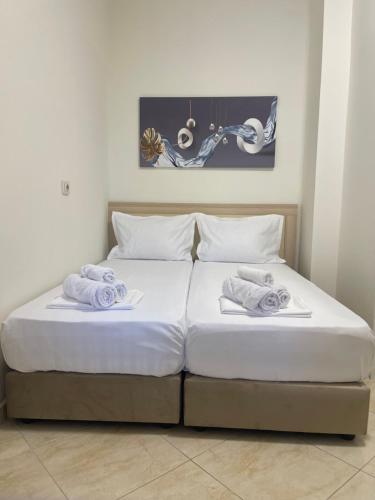 Villa Apartments S&F City Centre, Tirana (photo 8)