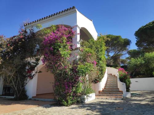 Casa Bella Sombra: Sea, Pool, Forest, Bikes