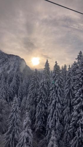 Apartment Hildegard Apartment Hildegard