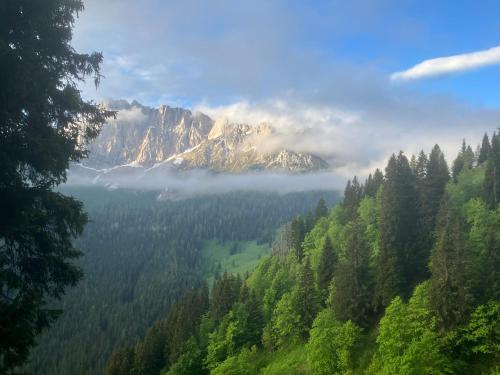 Apartment Hildegard Apartment Hildegard