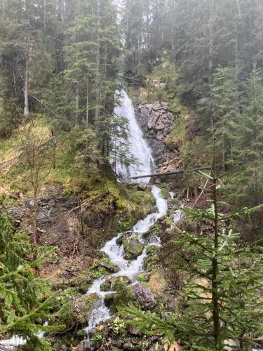 Apartment Hildegard Apartment Hildegard