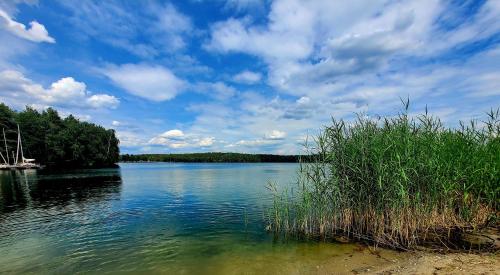 Ferienwohnung Seeglück im Oberpfälzer Seenland