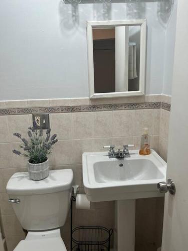 Cozy lovely 2 bedroom apt, 5 mins from JFK in Woodhaven, USA