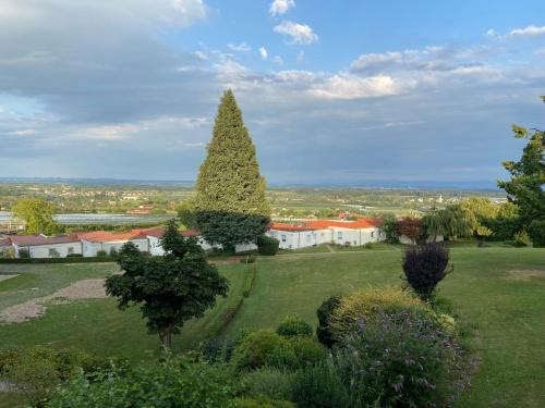 Apartment Bodenseepanorama - Oberteuringen