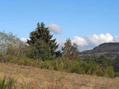 Detached chalet with terrace, surrounded by nature