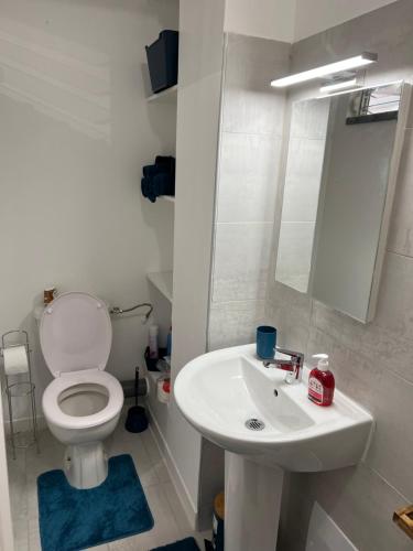 Baño, Appartement cosy et bien situé (Appartement cosy et bien situe) in Fort-de-France