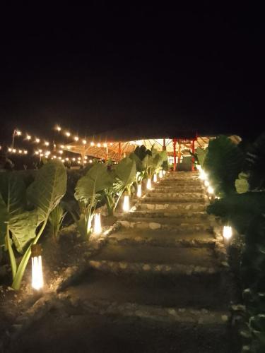 WJV BEACH RESORT AND RESTAURANT MOALBOAL - 정원