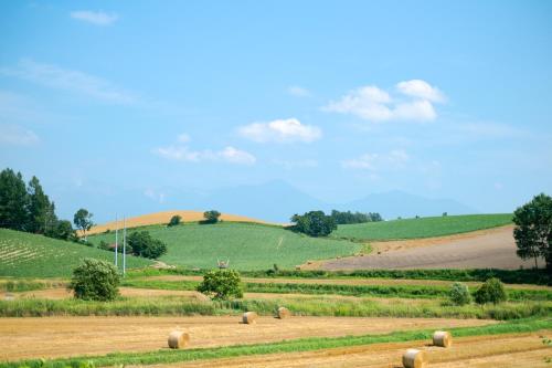 Furano Log House Farm Resort