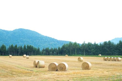 Furano Log House Farm Resort