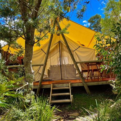 Apkārtne, Wingtons Glamping in Clarence Point