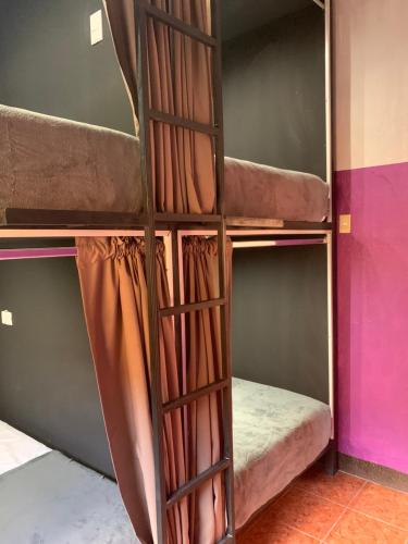 Bed in 4-Bed Dormitory Room image 1