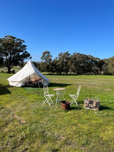 Cosy Glamping Tent 2