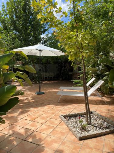Dārzs, Real Fundición de Alcora (Real Fundicion de Alcora) in Canjayar