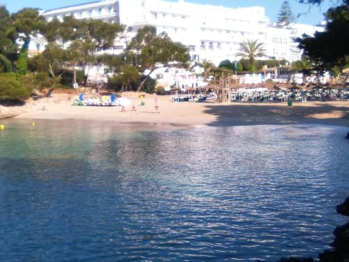Home D'or