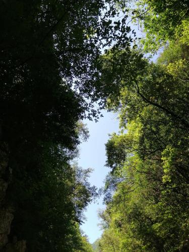 TRE METR SOPRA IL CIELO ''AcquAria''