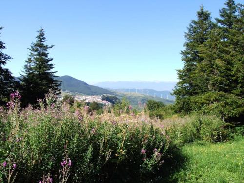 Casarosaria Italie Molise Pietrabbondante in Pietrabbondante