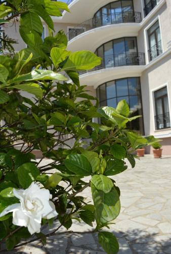 Boutique Hotel Argo – Kutaisi, IN
