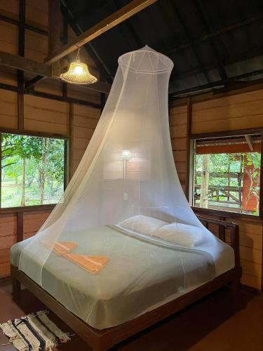 Khao Sok Green Mountain View 2