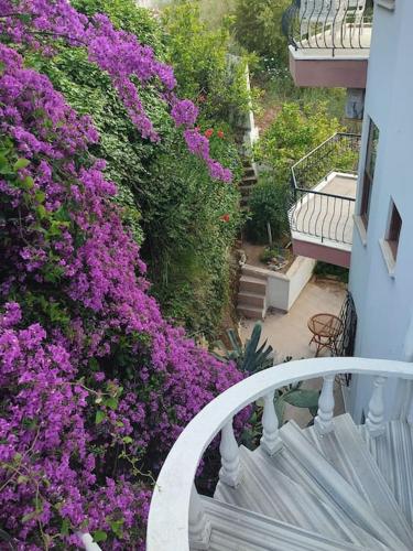 Villa on the Historic Castle Hill - Oba