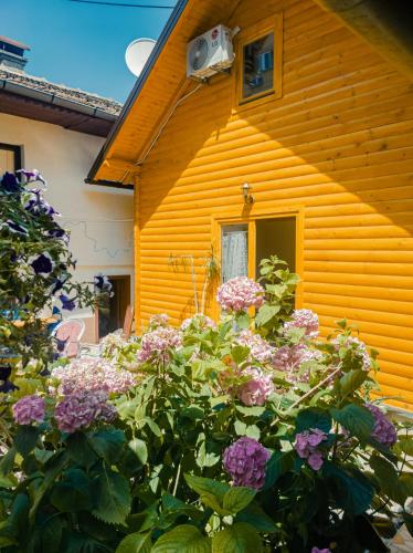 Guest house Nizama's Place