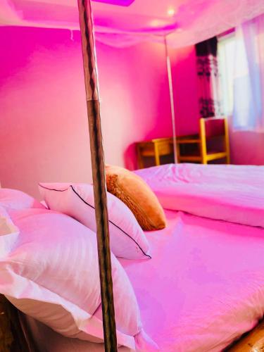 NEST SUITES