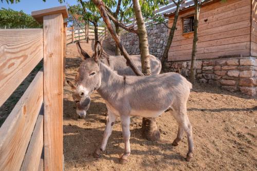 Agritur Maso Librar