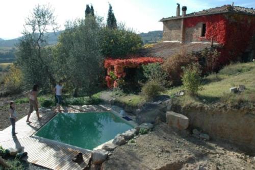  Pian Bossolino in Montalcino