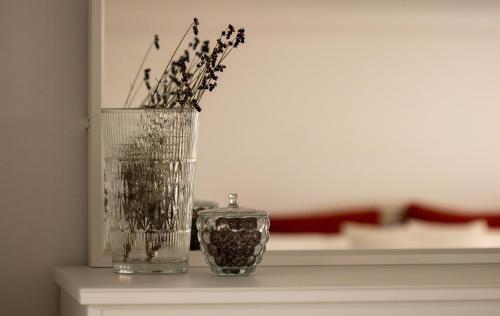 Jane's Place, experience the atmosphere of a historic villa & free parking, Ljubljana (photo 8)