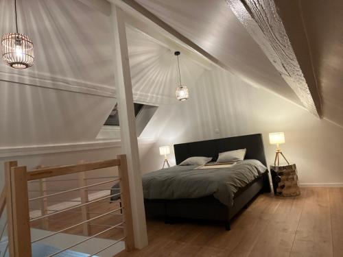Cosy Nest, Brussels
