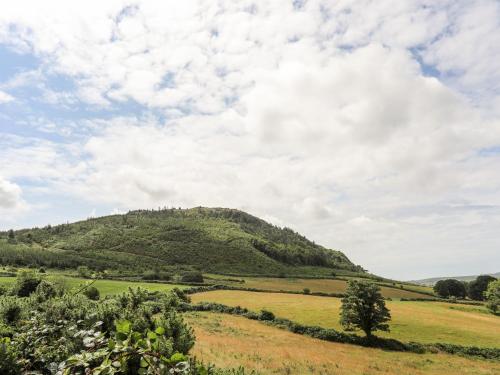 Maes Y Ddol Maes Y Ddol