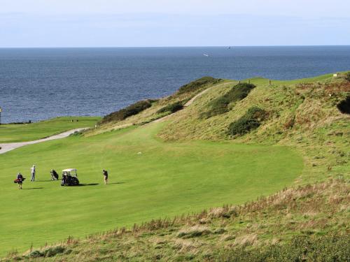 Maes Y Ddol Maes Y Ddol