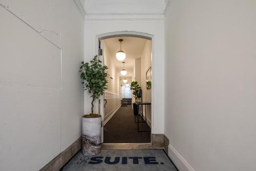 Sosuite at French Quarters - Rittenhouse Square, Filadelfie (fotografie 10)