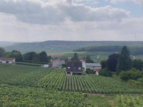 Maison au Coeur du Vignoble Champenois - Location saisonnière - Champillon