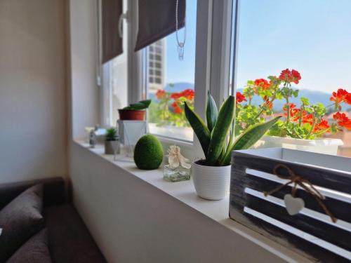 Apartman REA 1 in Pirot