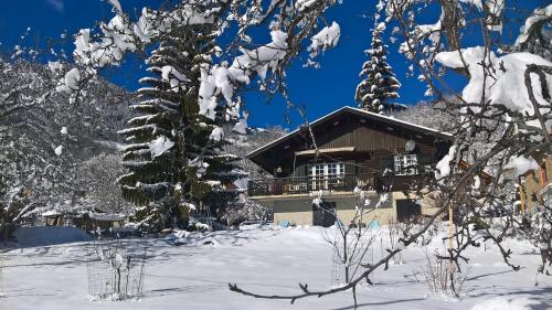 CHALET HARMONIE - Accommodation - Auris-en-Oisans