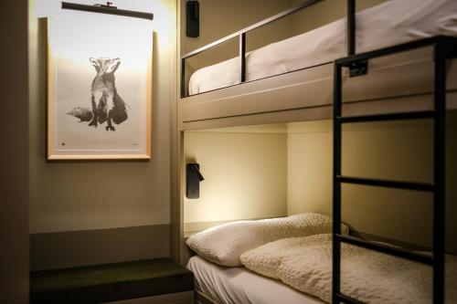 Mountain Paradise - image 12