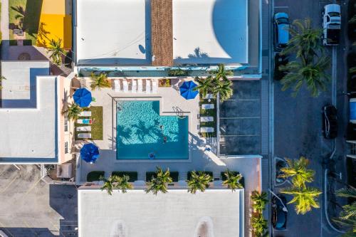 310 Oasis Paradise in Hollywood, USA