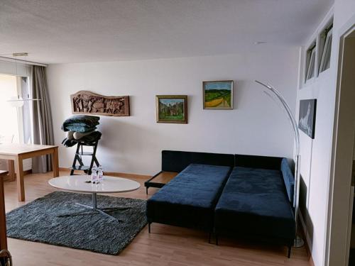 Wohnung mit See und Bergsicht im vier Sterne Hotel, Beatenberg (foto 8)