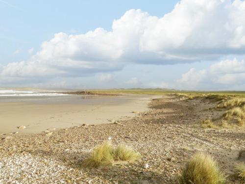 外部景觀, Tallagh Road in 貝爾馬利特